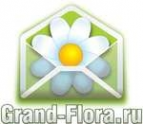 Логотип компании Доставка цветов Гранд Флора (ф-л г.Новоульяновск)